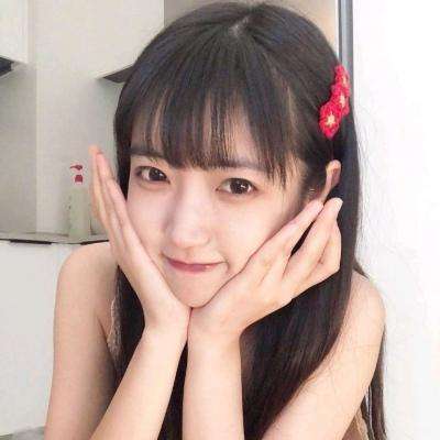 宠物乐园最新版下载